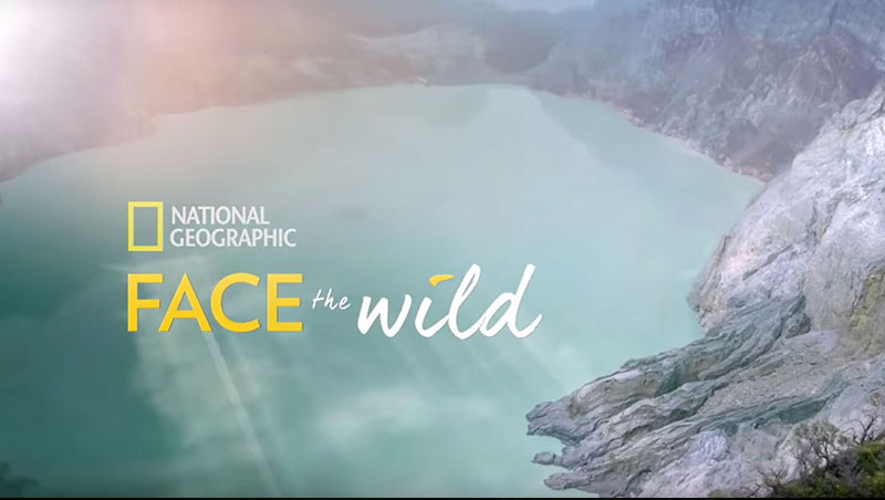 Face the Wild