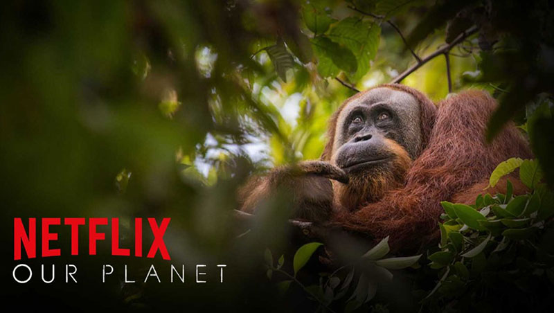 Our Planet